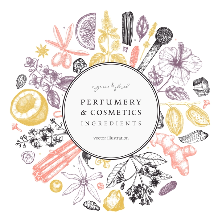 Aromatic plants wreath. Perfumery and cosmetics ingredients banner. Flower, fruit, spice, herb sketches. Hand drawn vector illustration. Packaging design template. 